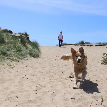 Holiday home Zomerhuis Zomerbries Noordwijk
