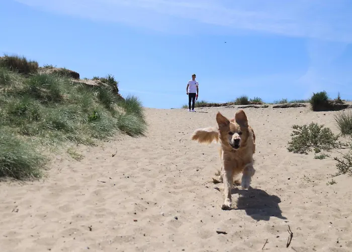 Holiday home Zomerhuis Zomerbries Noordwijk