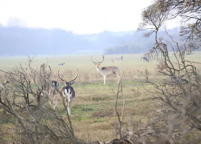 Zomerhuis Zomerbries Noordwijk