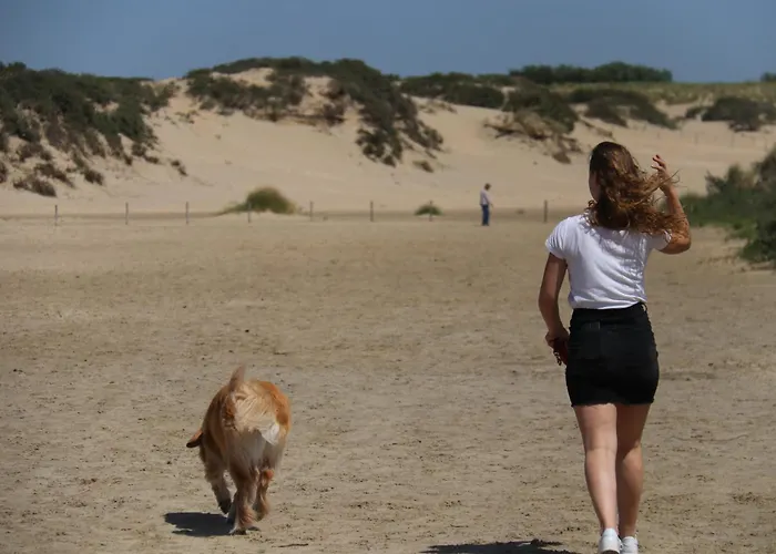 Zomerhuis Zomerbries *